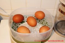 FeeKaa Babyflaschen Sterilisator - fünf Eier in der Schale